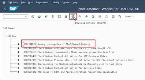 sap notes
